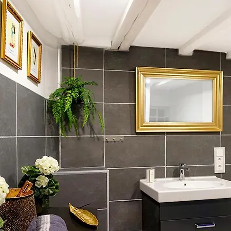Apartment Alte Schreinerei, Charmantes Gegenueber Der Loreley *