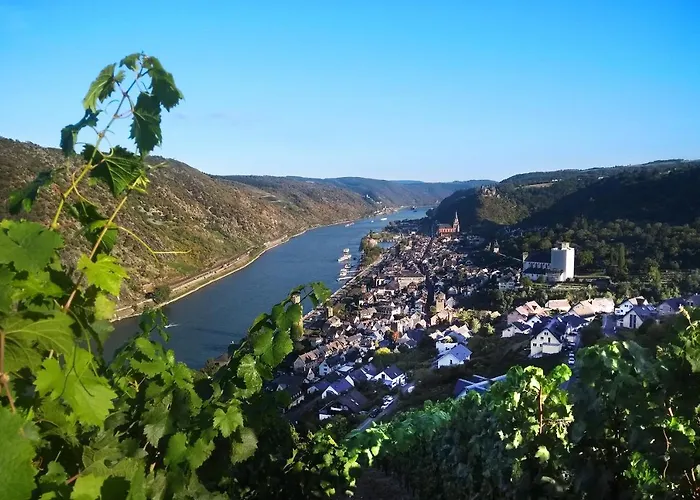 Alte Schreinerei, Charmantes Gegenueber Der Loreley 公寓 圣哥阿