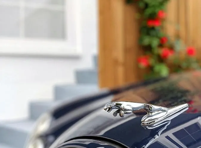 Alte Schreinerei, Charmantes Gegenueber Der Loreley * 圣哥阿